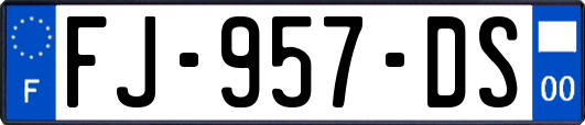 FJ-957-DS