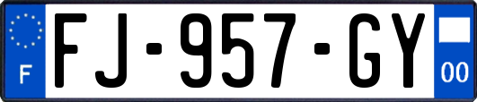 FJ-957-GY