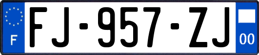 FJ-957-ZJ