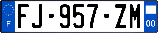 FJ-957-ZM