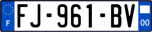 FJ-961-BV