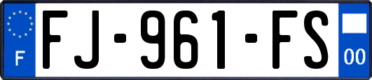 FJ-961-FS