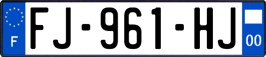 FJ-961-HJ
