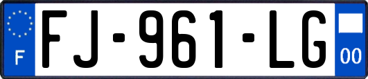 FJ-961-LG