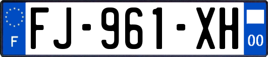 FJ-961-XH