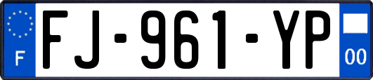 FJ-961-YP