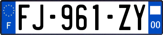 FJ-961-ZY