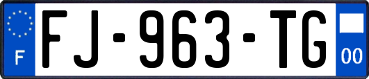 FJ-963-TG