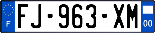 FJ-963-XM