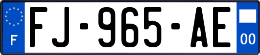 FJ-965-AE