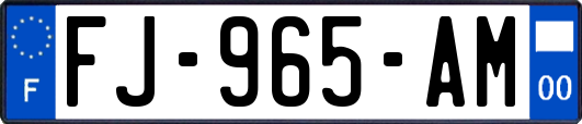 FJ-965-AM