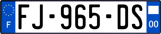 FJ-965-DS