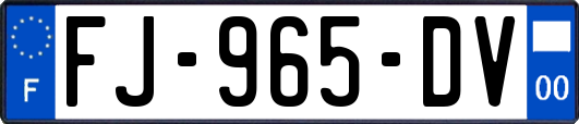 FJ-965-DV