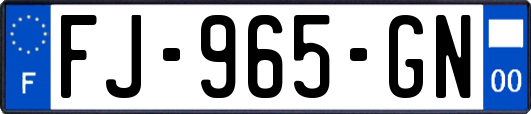 FJ-965-GN