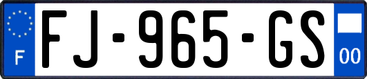 FJ-965-GS