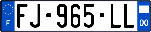 FJ-965-LL
