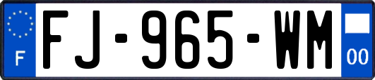 FJ-965-WM