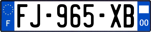 FJ-965-XB