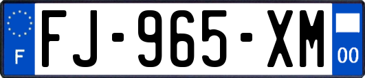 FJ-965-XM