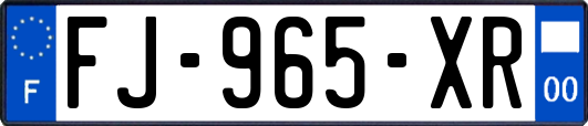 FJ-965-XR