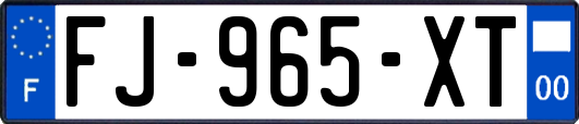 FJ-965-XT