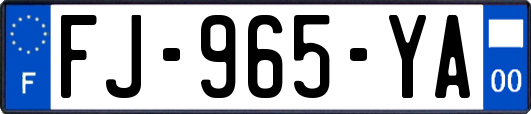 FJ-965-YA