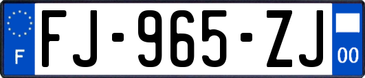 FJ-965-ZJ