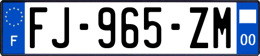 FJ-965-ZM