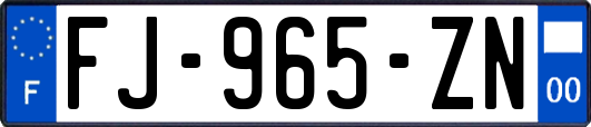 FJ-965-ZN