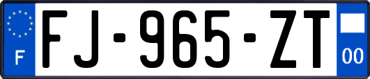 FJ-965-ZT