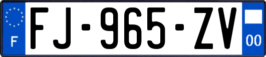 FJ-965-ZV