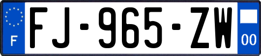 FJ-965-ZW