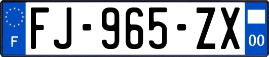 FJ-965-ZX