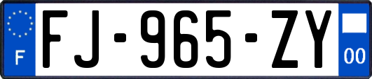 FJ-965-ZY