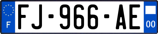 FJ-966-AE