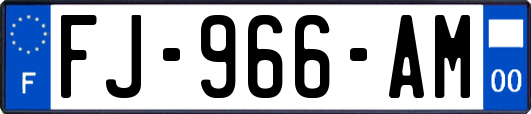 FJ-966-AM