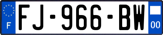 FJ-966-BW