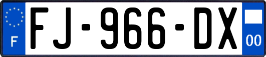 FJ-966-DX