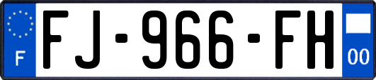 FJ-966-FH