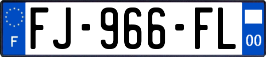 FJ-966-FL