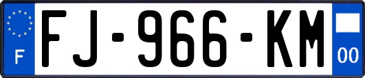 FJ-966-KM