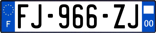 FJ-966-ZJ