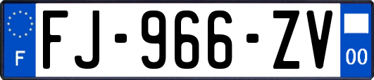 FJ-966-ZV