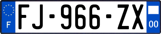 FJ-966-ZX