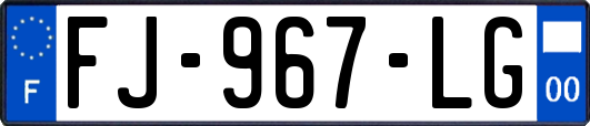 FJ-967-LG