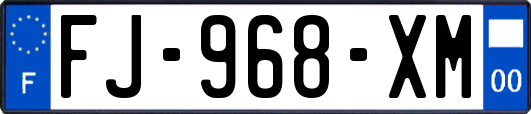 FJ-968-XM