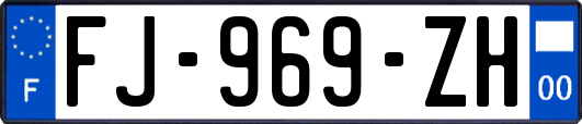 FJ-969-ZH