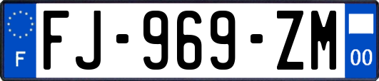 FJ-969-ZM