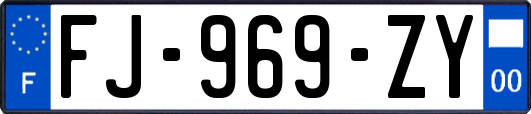 FJ-969-ZY