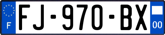 FJ-970-BX